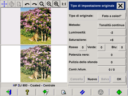 filtro di anteprima del modello